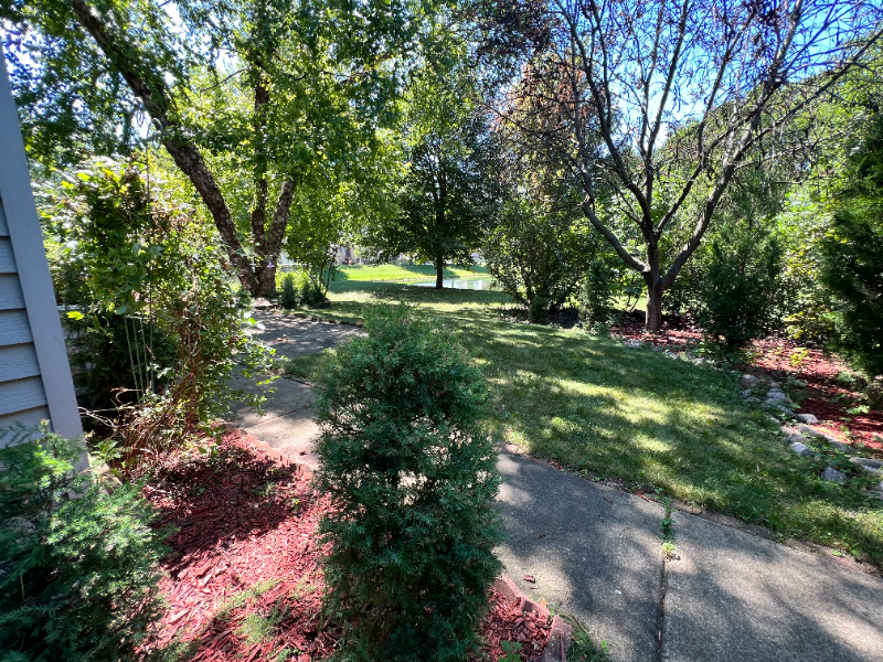 113 Tahoe Dr - Photo 4 of 20