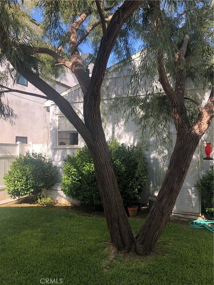 406 Heliotrope Ave #B - Photo 5 of 17