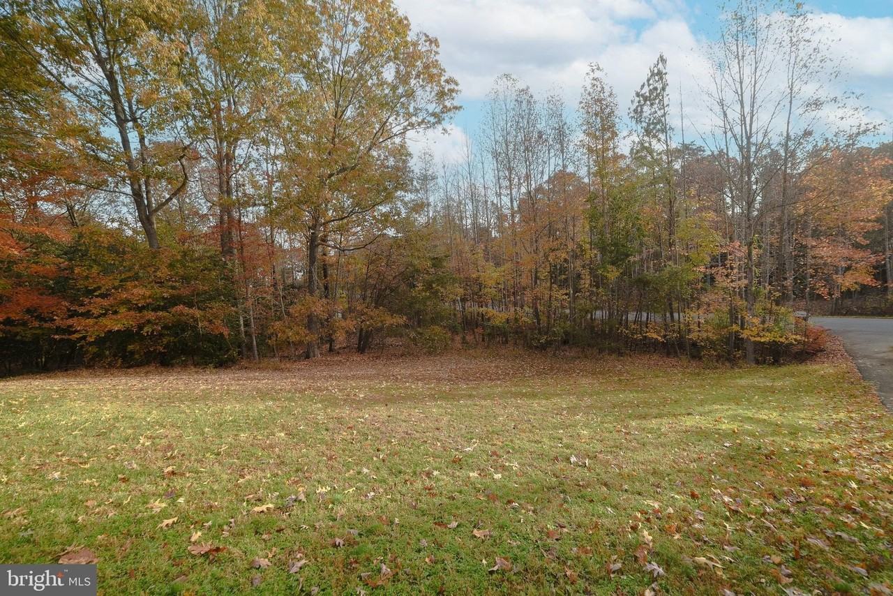 19825 Fall Ct - Photo 4 of 50