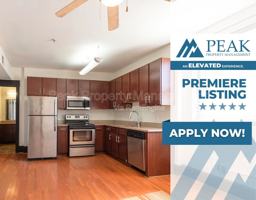 featured image of 230 N Sycamore St #11