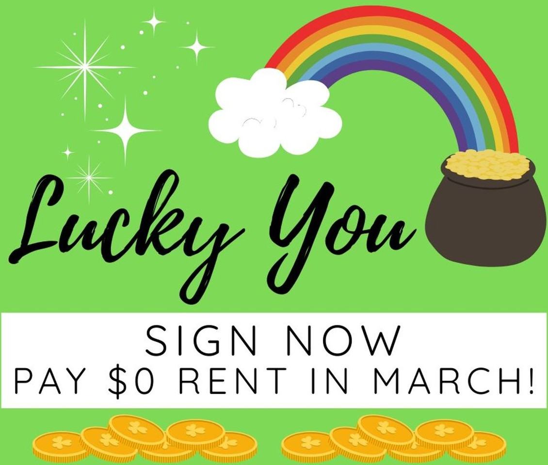 East Beach Apartments - Photo 7 of 50