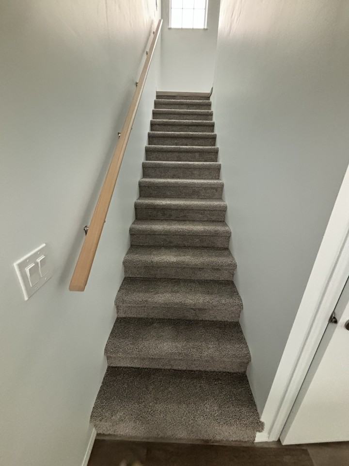 2 Bedroom 1 Bathroom Garden & Basement Rentals - Photo 5 of 12