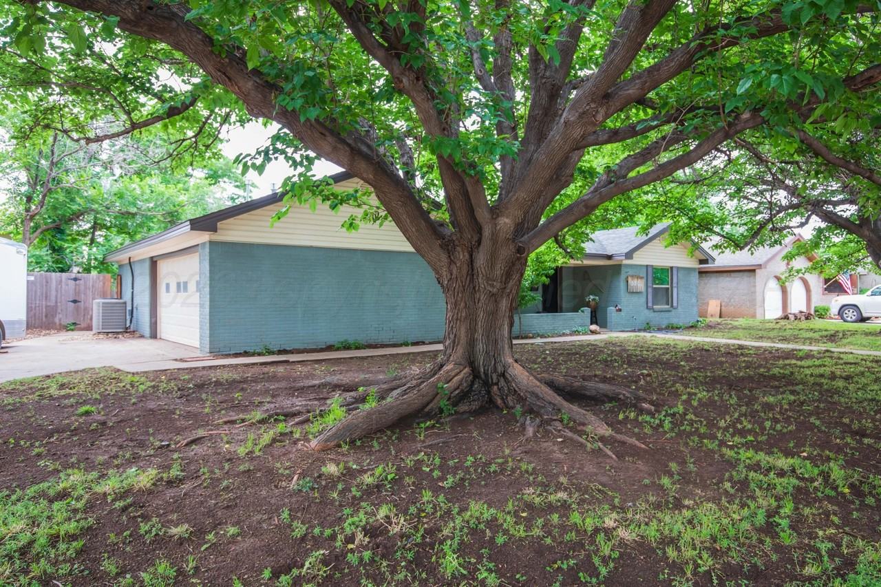 3301 Palmetto Trl - Photo 3 of 22