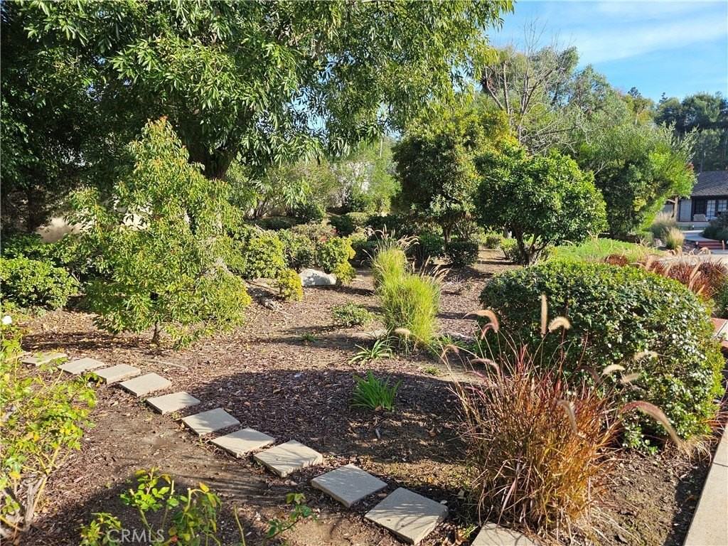 25451 Del Cobre - Photo 3 of 27