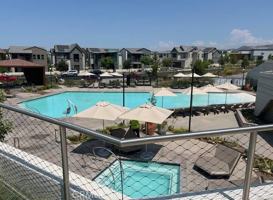 featured image of 239 Abacus