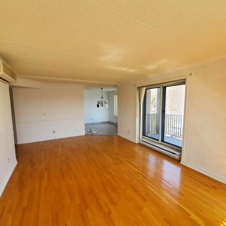 7171 Rue Beaubien Est - Photo 6 of 7