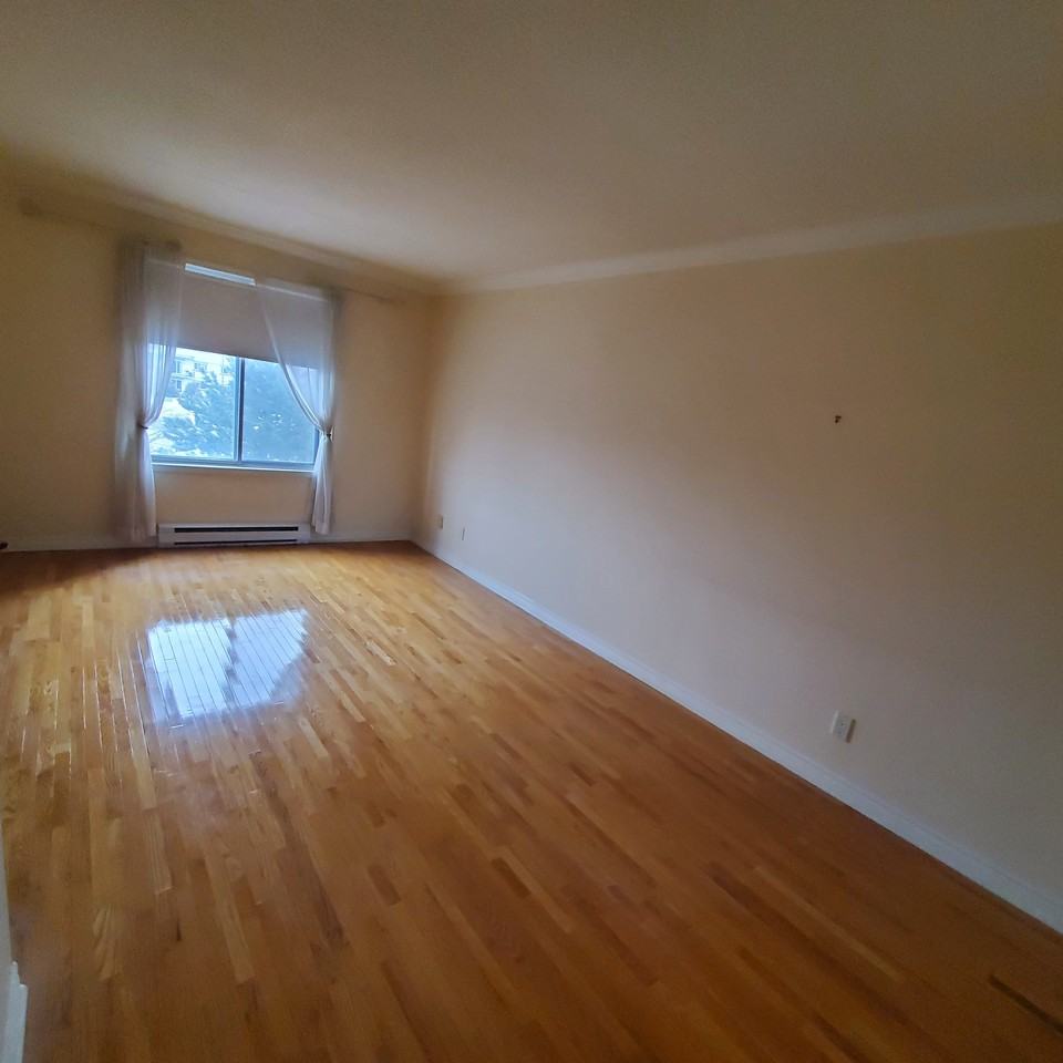 7171 Rue Beaubien Est - Photo 7 of 7