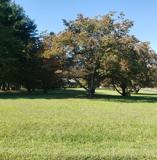 7285 Beulah Church Rd - Photo 1 of 1