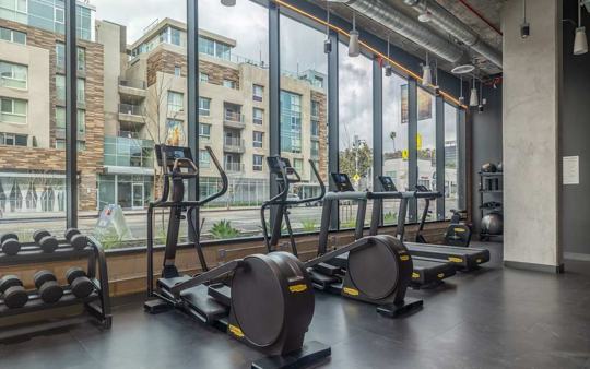 The REMM Group 4 of 4