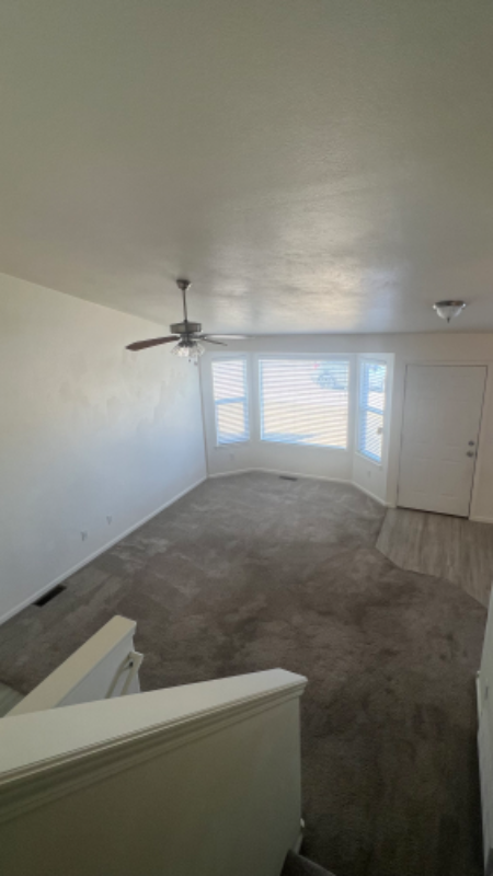 4012 Grapevine Ln - Photo 3 of 16