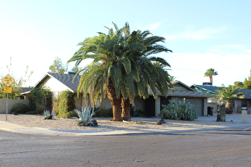 10034 N 33rd Ave - Photo 2 of 16