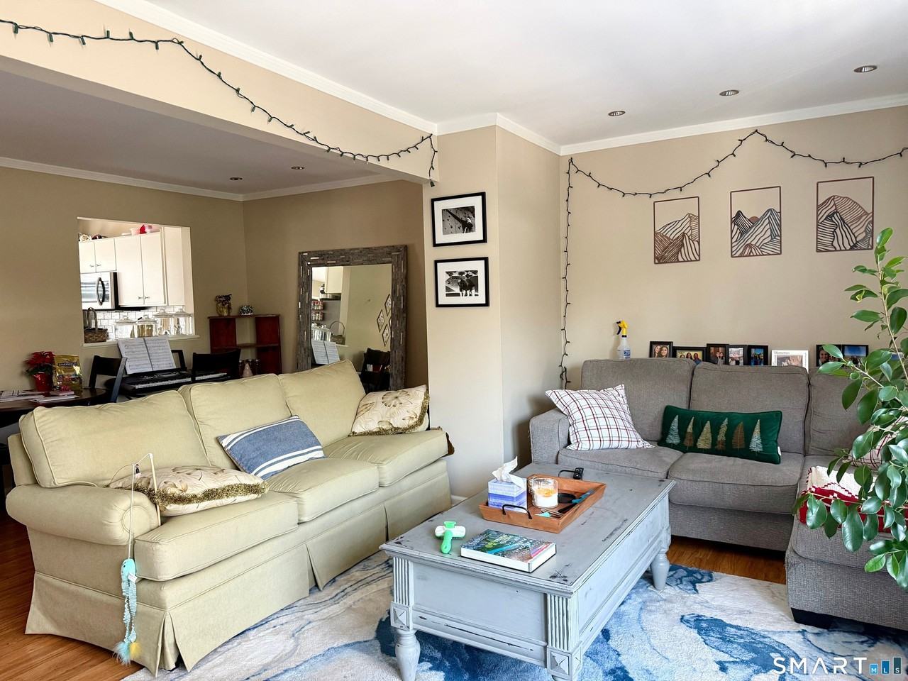 133 Clearview Ct - Photo 3 of 14