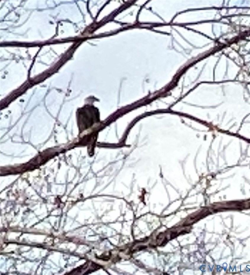 7622 Yarmouth Dr Unit B #B - Photo 6 of 6