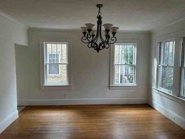 703 Penn Ave Ne Unit 1 #1 - Photo 4 of 12