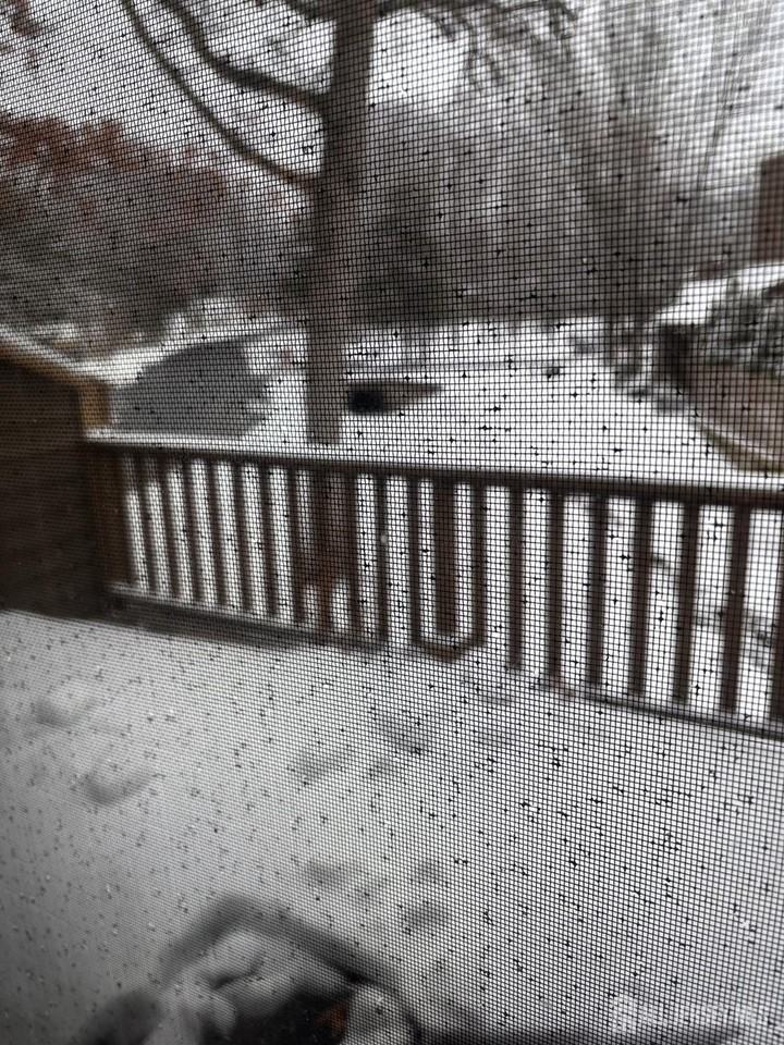 92 Heather Ct - Photo 5 of 12