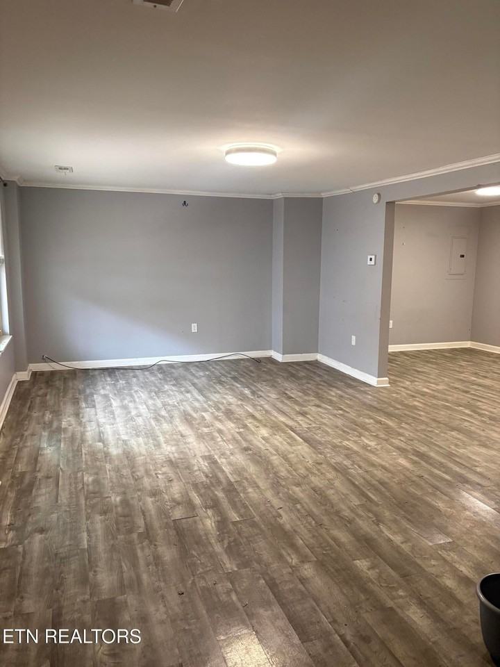 123 Tub Springs Rd - Photo 2 of 11