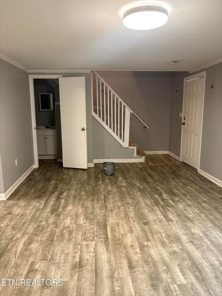 123 Tub Springs Rd - Photo 3 of 11