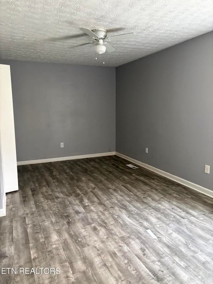 123 Tub Springs Rd - Photo 4 of 11