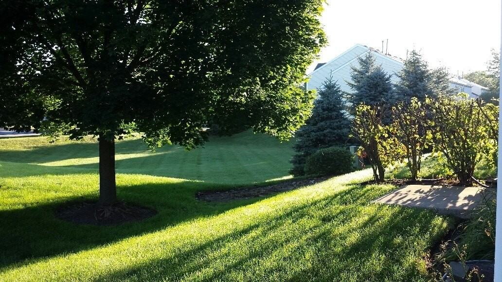 732 Silk Oak Ln Unit 732 #732 - Photo 4 of 16