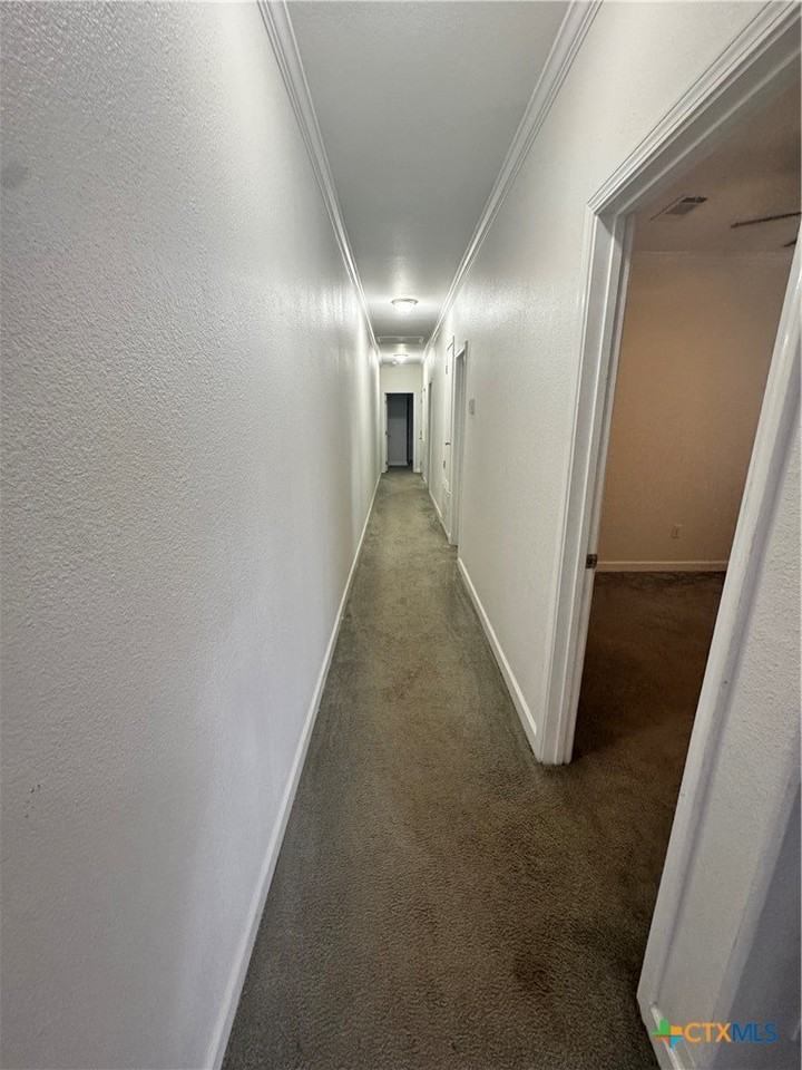 203 Palmwood Dr Apt B #B - Photo 3 of 9