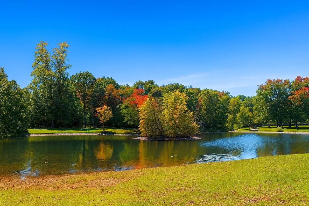 Lakeside Apartments - Photo 3 of 16