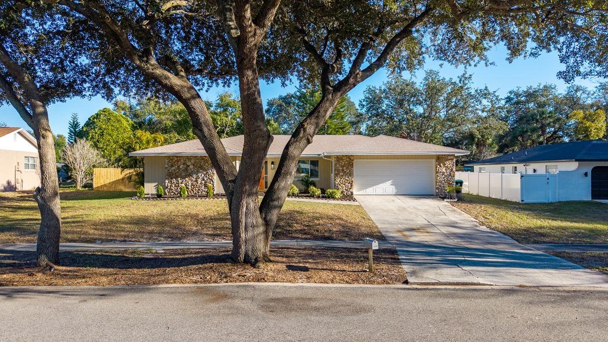 6649 Pampus Dr - Photo 4 of 49