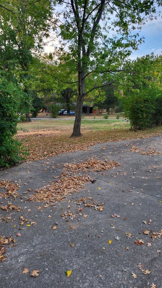 71 Price Blvd #1 - Photo 3 of 27