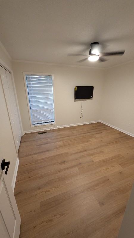 3705 Black Gum Dr - Photo 7 of 19