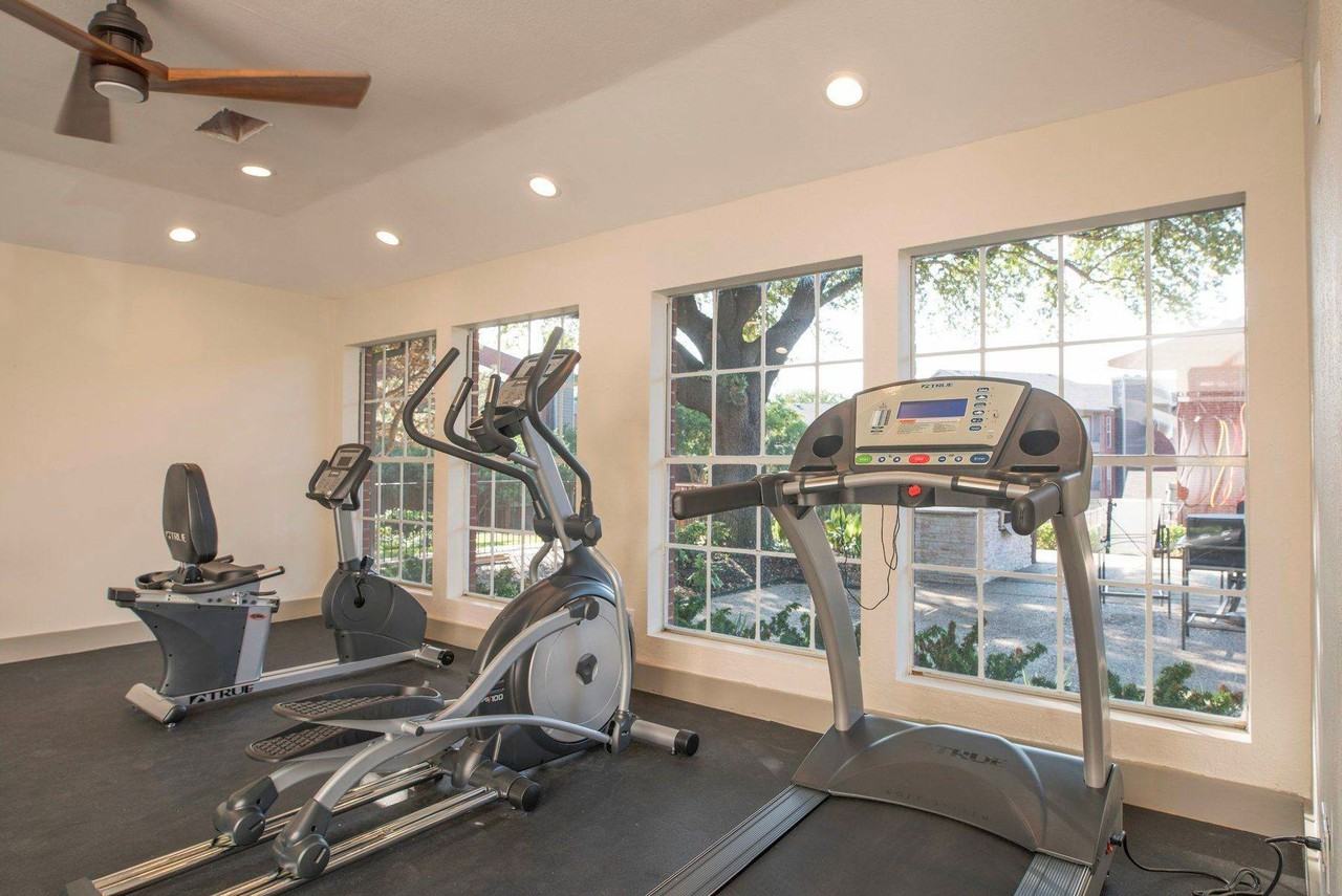 The Vines - Photo 3 of 26