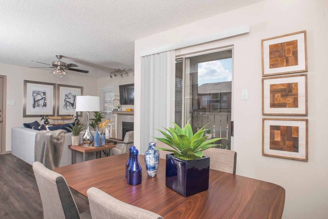 The Vines - Photo 5 of 26