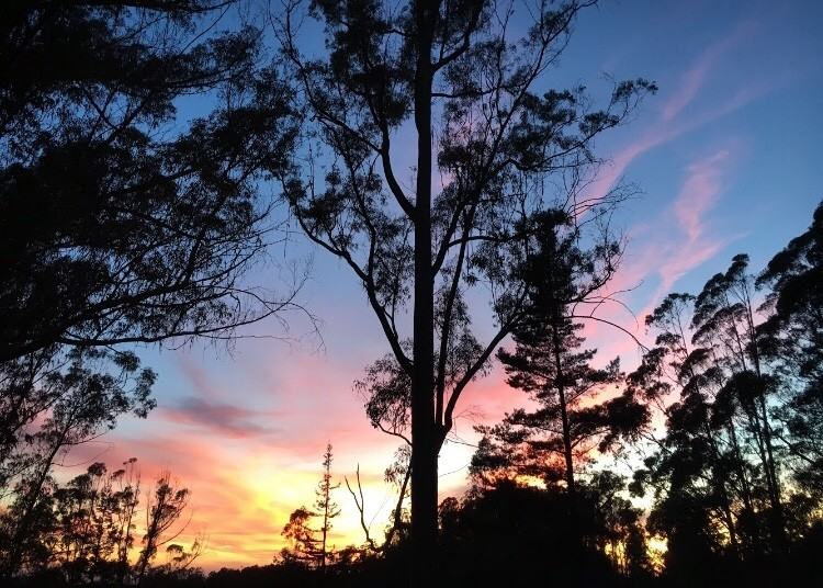 Gillette & Bens Way - Photo 6 of 35