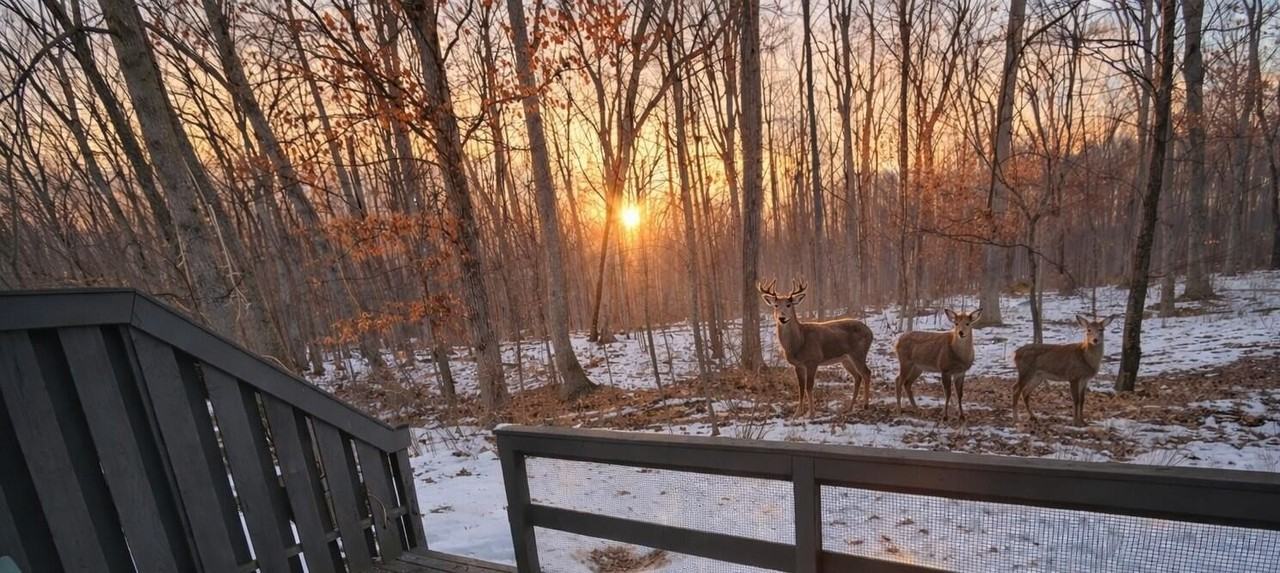 5388 Flintstone Dr - Photo 5 of 31