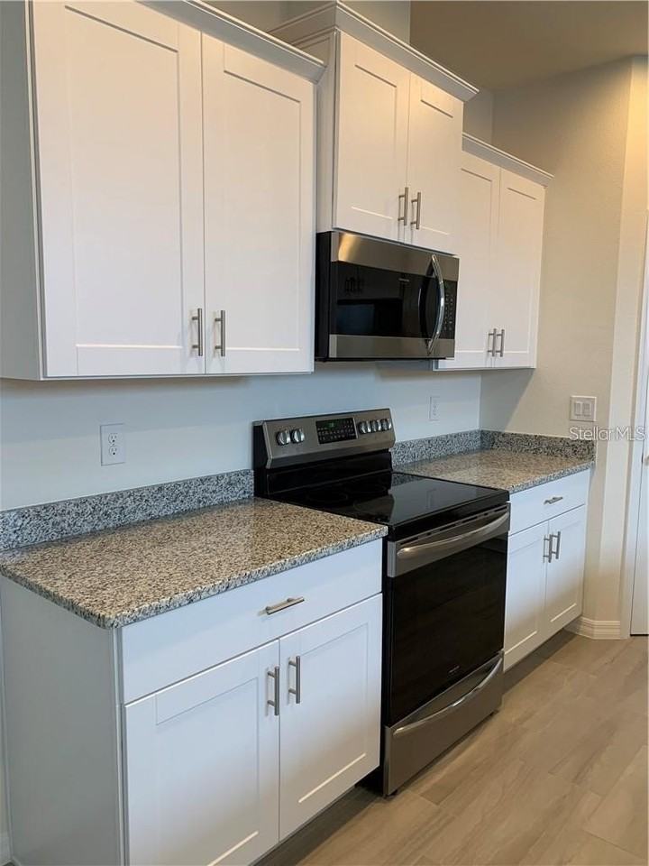 16856 Hypatia Aly - Photo 4 of 27