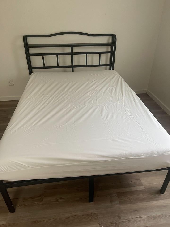 Carisbrook Ln - Photo 7 of 8