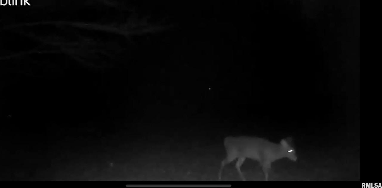 13321 N Princeville Jubilee Rd - Photo 5 of 46