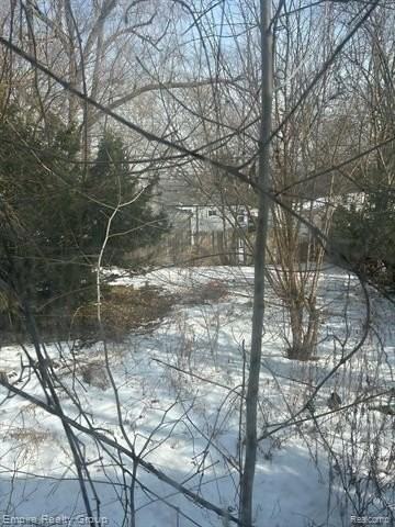 19470 Forrer St - Photo 7 of 8