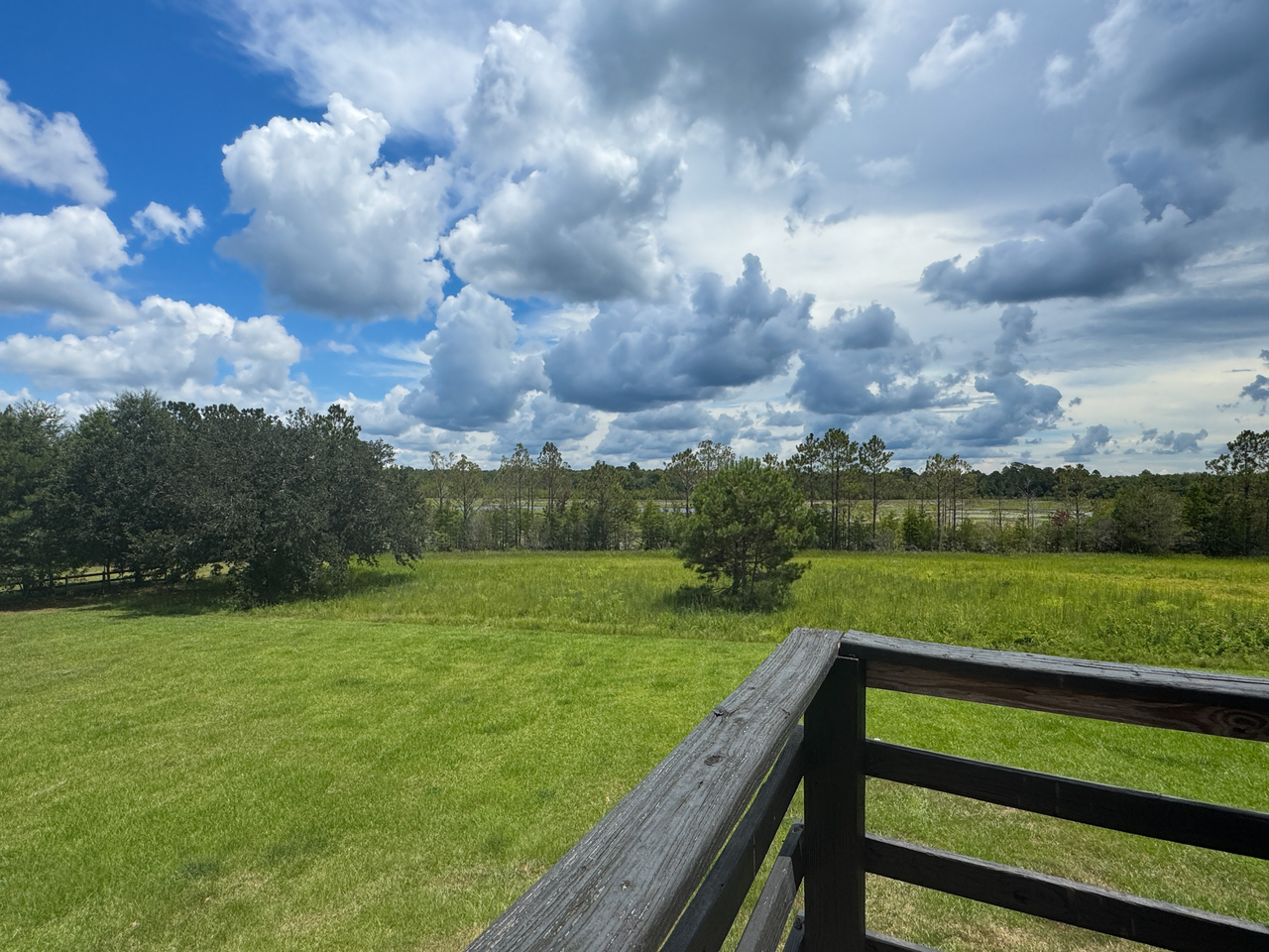 Abita Springs Apartments - Photo 7 of 45