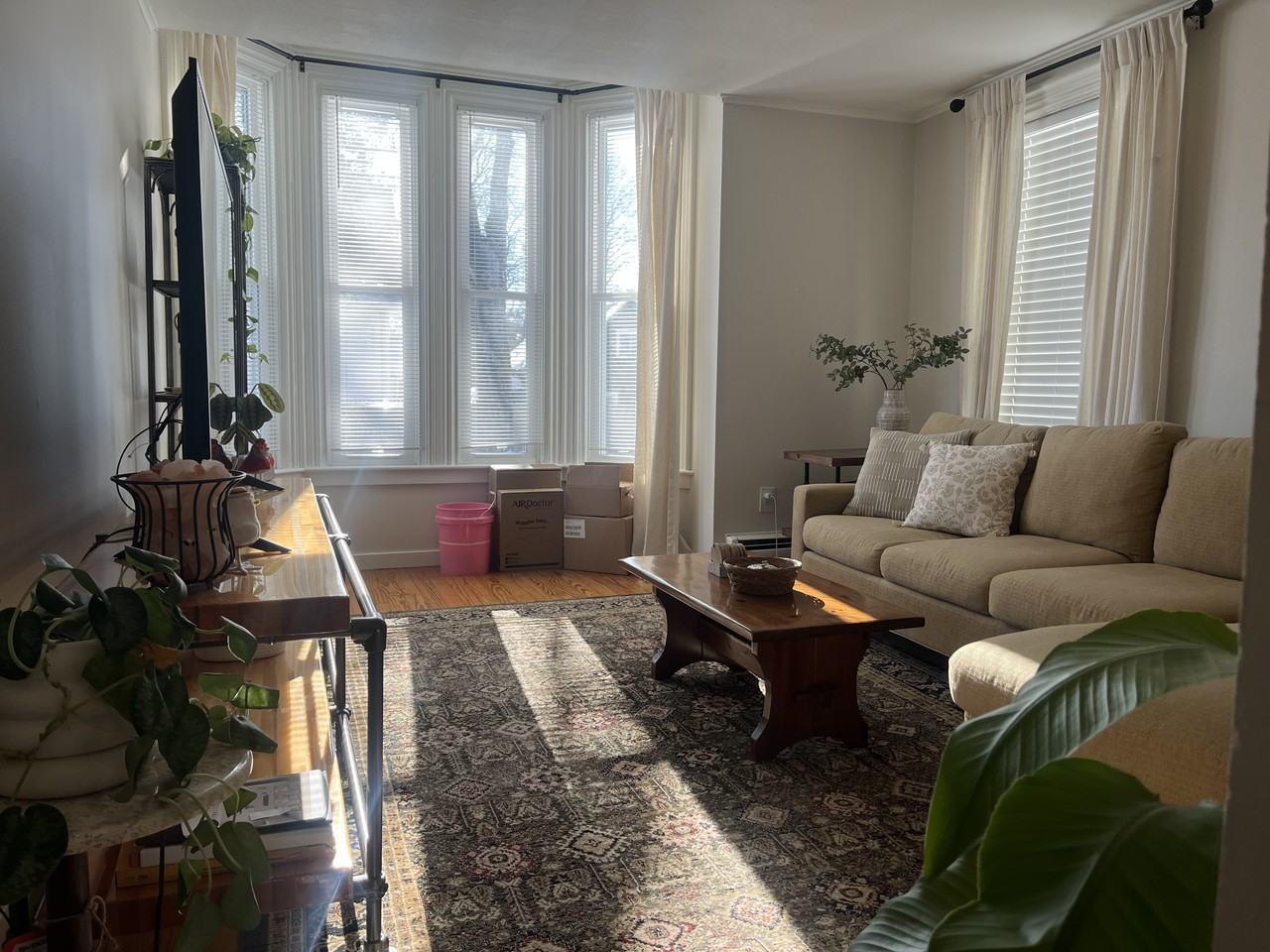 105 Central Street #1 - Photo 3 of 10