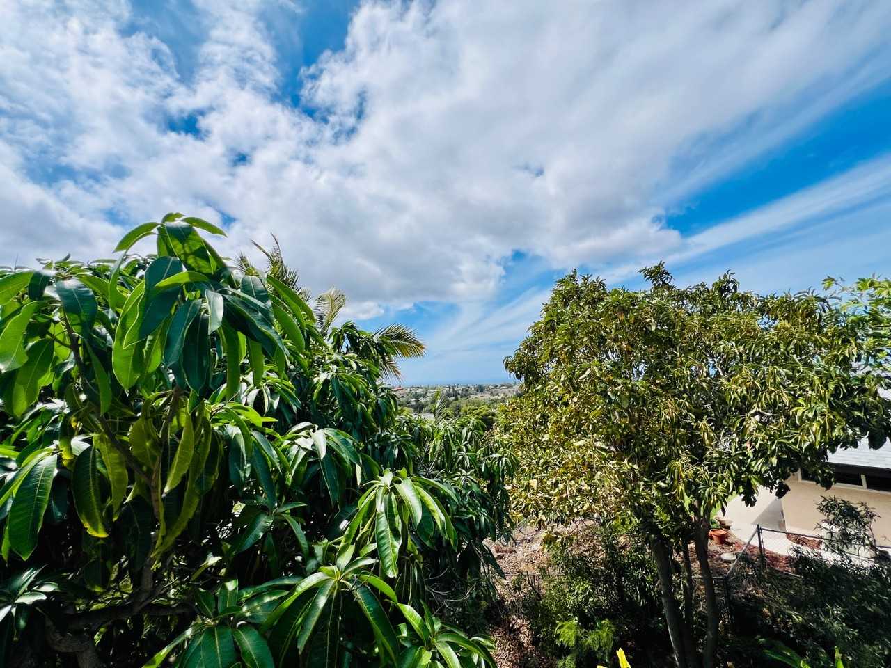 68-1828 Pakanu St - Photo 3 of 11