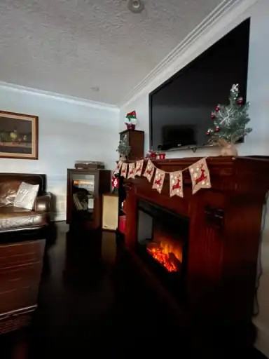 319 Metcalfe St - Photo 7 of 30