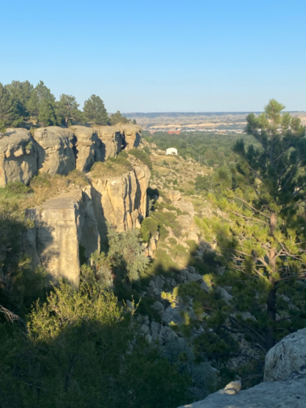 3322 Stony Ridge Rd - Photo 7 of 19