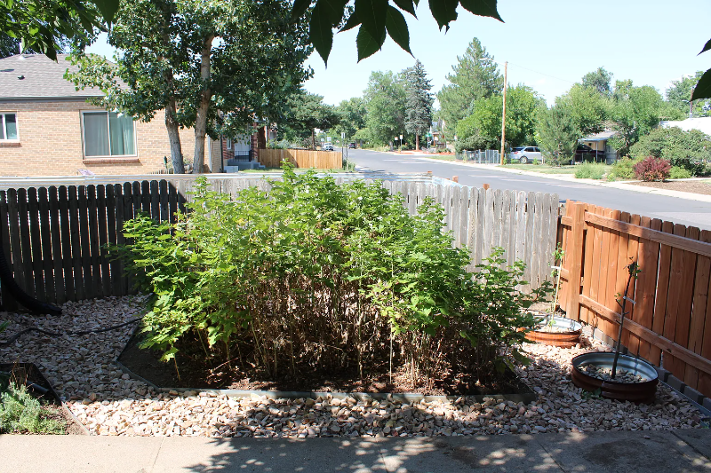 1531 Willow St - Photo 4 of 20