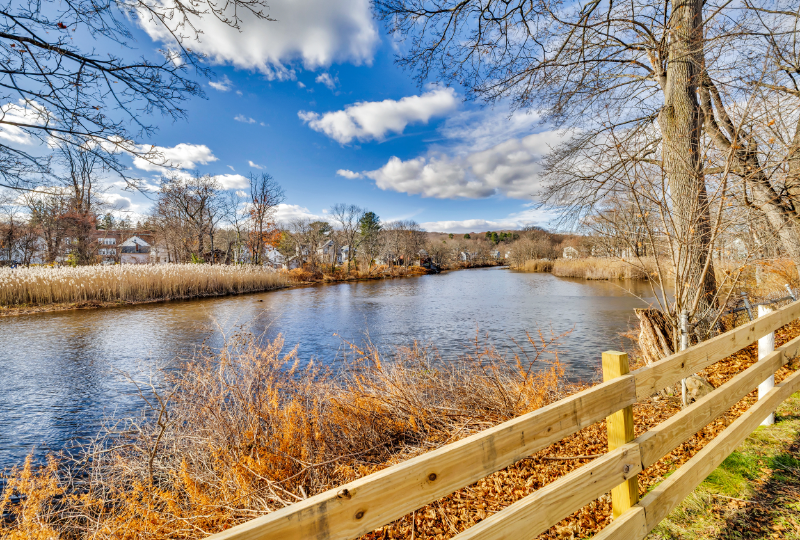 50 Norfolk St #1 - Photo 2 of 15