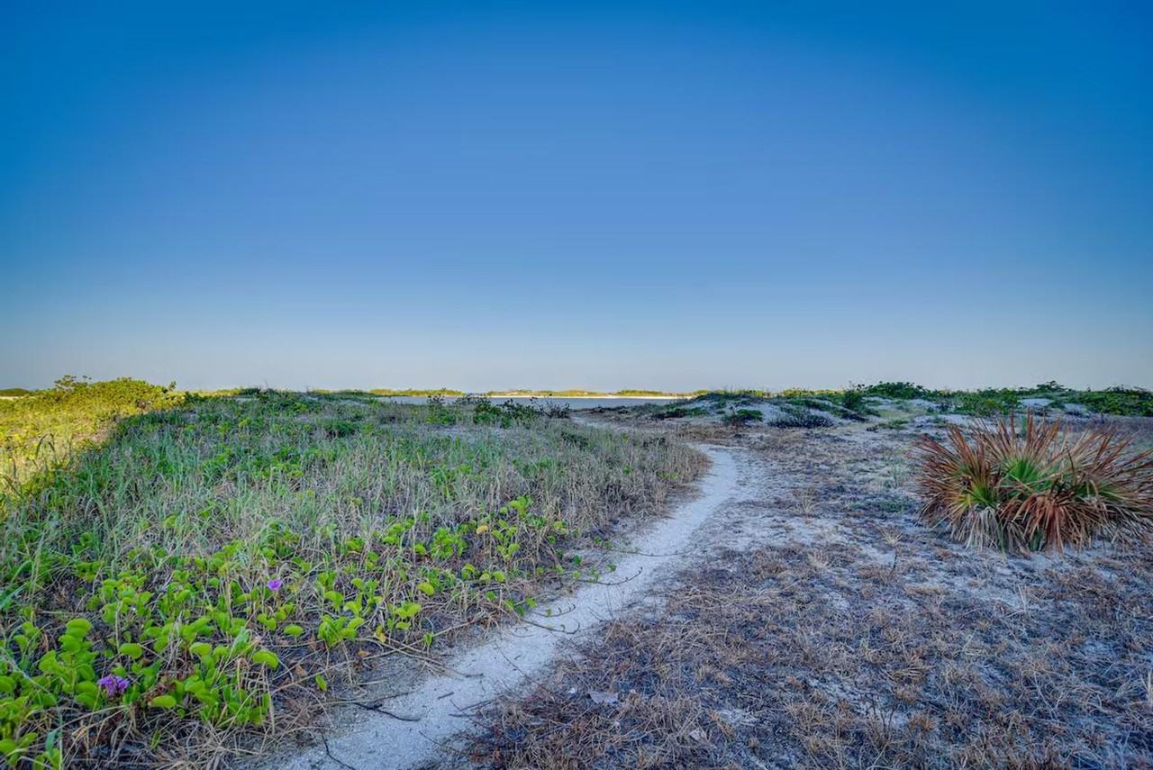 1290 Gulf Blvd #1385723P - Photo 3 of 29