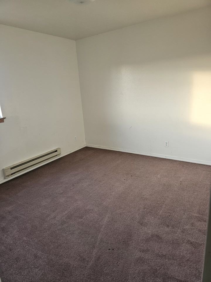 2120 Stace St #4 - Photo 4 of 14