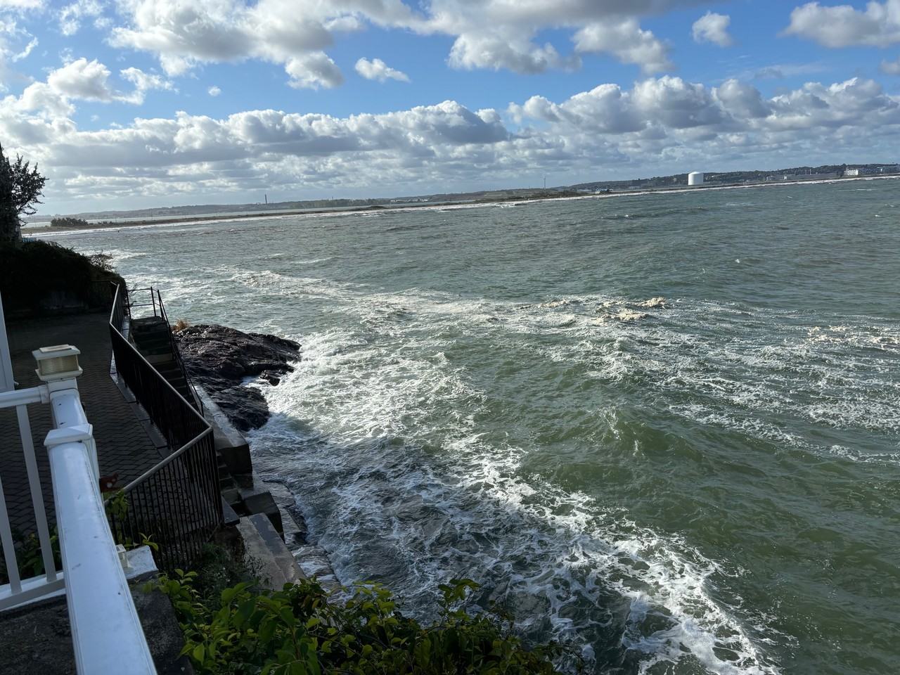 234 Wilson Rd #1 - Photo 3 of 20