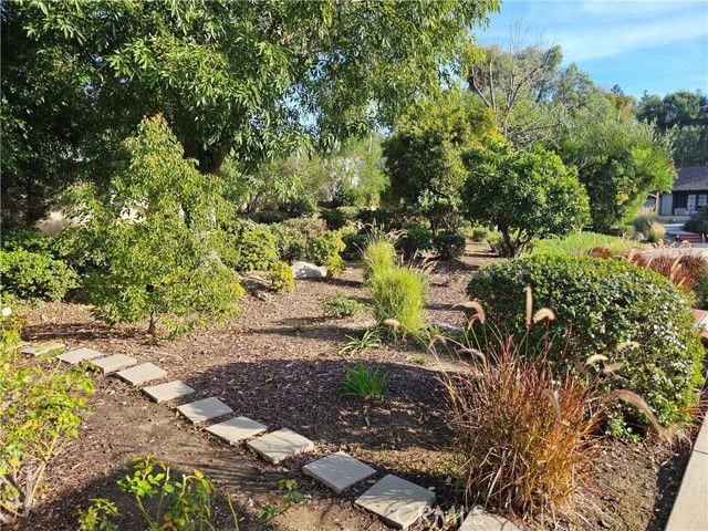 25451 Del Cobre - Photo 2 of 8