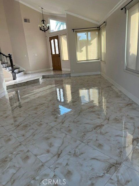 9 Sarracenia - Photo 3 of 8