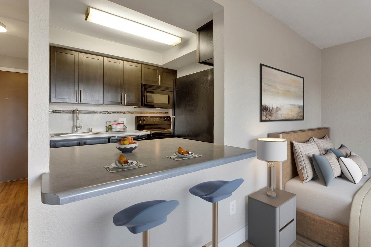 1265 Downing - Photo 2 of 19