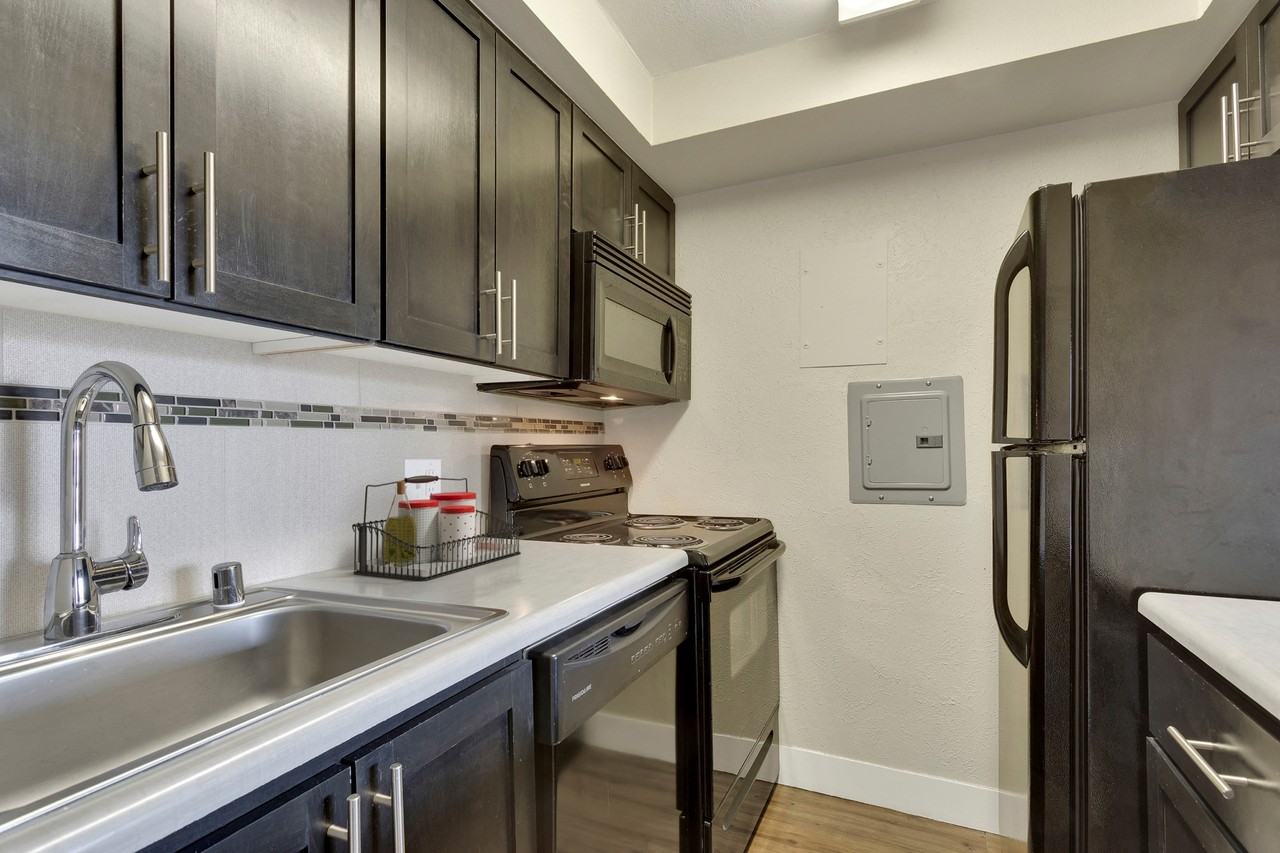 1265 Downing - Photo 4 of 19